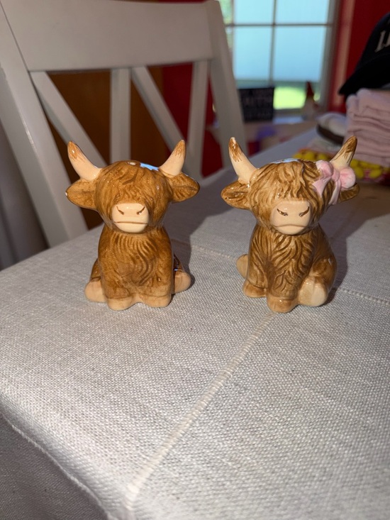 Other - Cow Salt & Pepper Set. NWT